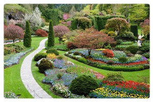 Outdoor Services